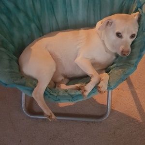 Meet your Posher, Glenda